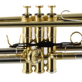 Adams Model A3 Custom Series Professional Bb Trumpet in Lacquer BRAND NEW