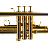 Adams Model A5 Custom Series Professional Bb Trumpet in Lacquer BRAND NEW