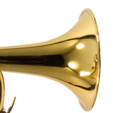 Adams Model A5 Custom Series Professional Bb Trumpet in Lacquer BRAND NEW