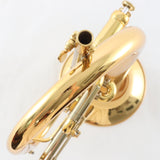 Adams 'Sonic' Series Professional Flugelhorn BRAND NEW
