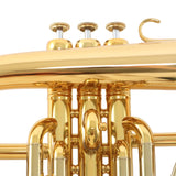 Adams 'Sonic' Series Professional Flugelhorn BRAND NEW