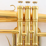 Adams 'Sonic' Series Professional Flugelhorn BRAND NEW