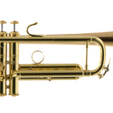 Bach Model 17043GYR 'Apollo' Professional Bb Trumpet SN 796999 SUPERB