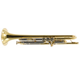 Bach Model 37 Mount Vernon Stradivarius L Bb Trumpet SN 26217 GORGEOUS