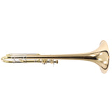 Bach Model 42B Professional Trombone with Gold Brass Bell SN 219961 EXCELLENT