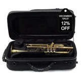 Bach Model VBS2 (Export Model) Professional Bb Trumpet SN 784395 EXCELLENT