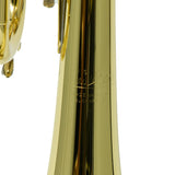 Bach Model VBS2 (Export Model) Professional Bb Trumpet SN 784404 EXCELLENT