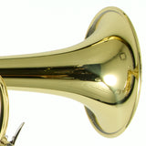 Bach Model VBS2 (Export Model) Professional Bb Trumpet SN 784404 EXCELLENT