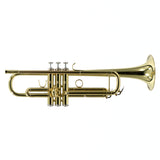 Bach Model VBS2 (Export Model) Professional Bb Trumpet SN 784406 EXCELLENT