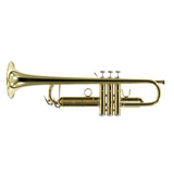 Bach Model VBS2 (Export Model) Professional Bb Trumpet SN 784406 EXCELLENT
