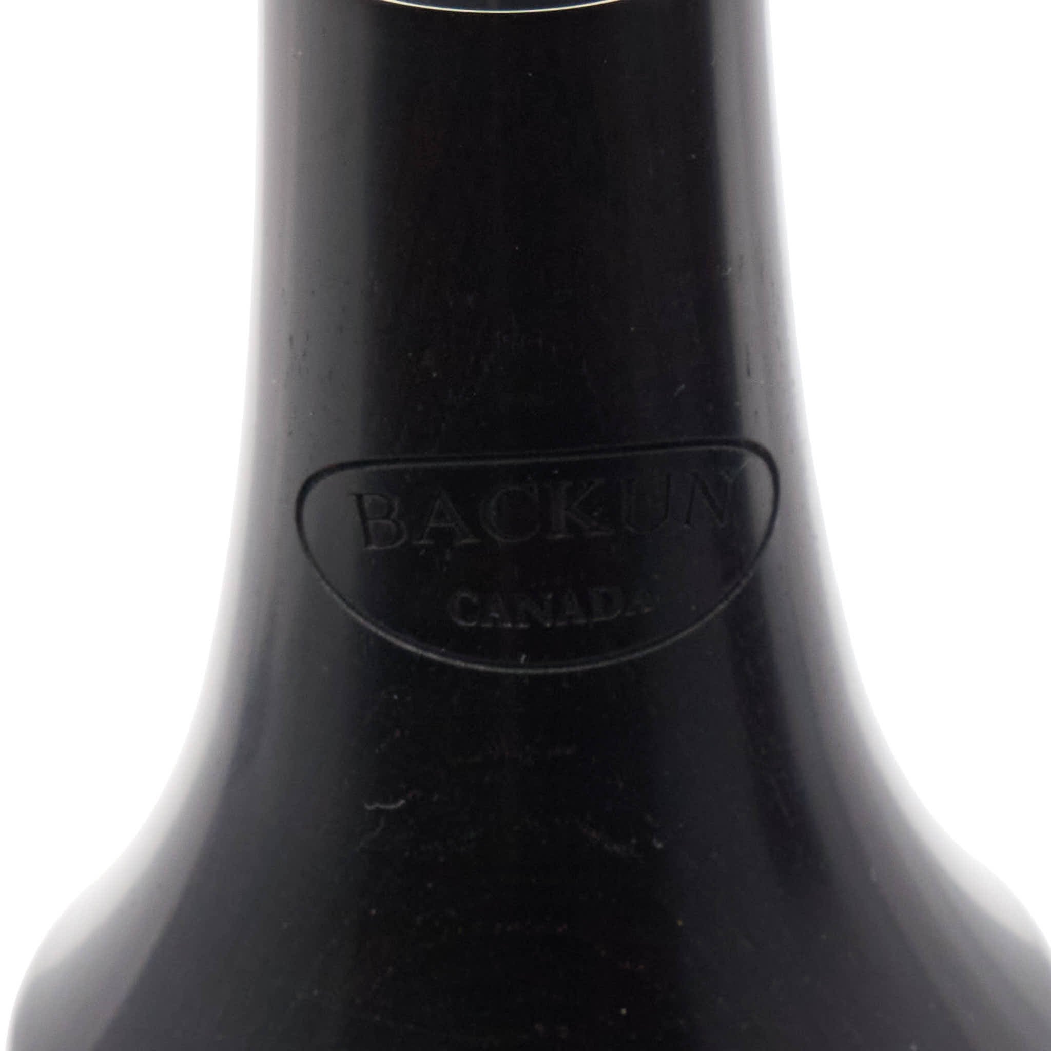 Backun BCLBESSG-SK-FV 'Essence' Professional Bb Clarinet In Grenadilla