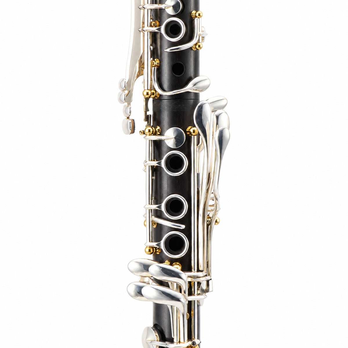 Backun BCLBQG-SKGE Q-Series Professional Bb Clarinet in Grenadilla SN Q2-1987