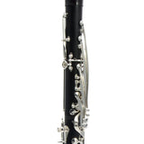 Backun 'Lumiere' Custom Grenadilla Bb Clarinet in SN 829 OPEN BOX