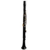 Backun Model BCLALUMG-SKG 'Lumiere' Custom A Clarinet MINT CONDITION