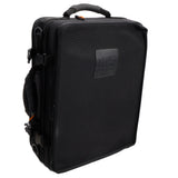 Backun Model BCLALUMG-SKG 'Lumiere' Custom A Clarinet MINT CONDITION