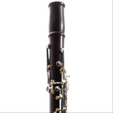 Backun Model BCLBPROTC-SKGE 'Protege' Intermediate Bb Clarinet