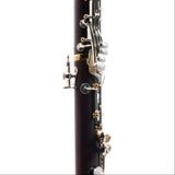 Backun Model BCLBPROTC-SKGE 'Protege' Intermediate Bb Clarinet