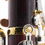 Backun Model BCLBPROTC-SKGE 'Protege' Intermediate Bb Clarinet
