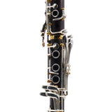 Backun Model BCLBPROTC-SKGE 'Protege' Intermediate Bb Clarinet