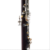 Backun Model BCLBPROTC-SKGE 'Protege' Intermediate Bb Clarinet SN PR4557