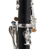 Backun Model BCLBPROTG-SK Bb Clarinet in Grenadilla SN PR785 OPEN BOX