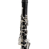 Backun Model BCLBPROTG-SK Bb Clarinet in Grenadilla SN PR785 OPEN BOX