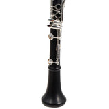 Backun Model BCLBPROTG-SK Bb Clarinet in Grenadilla SN PR785 OPEN BOX