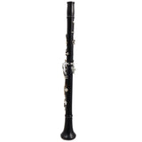 Backun Model BCLBPROTG-SK Bb Clarinet in Grenadilla SN PR785 OPEN BOX