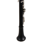 Backun Model BCLBPROTG-SK 'Protege' Bb Clarinet SN PZ10295 OPEN BOX