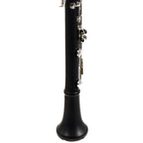 Backun Model BCLBPROTG-SK 'Protege' Bb Clarinet SN PZ10295 OPEN BOX