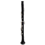 Backun Model BCLBPROTG-SK 'Protege' Bb Clarinet SN PZ10295 OPEN BOX