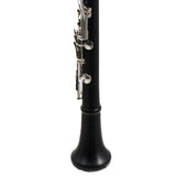 Backun Model BCLBPROTG-SK 'Protege' Bb Clarinet SN PZ10295 OPEN BOX