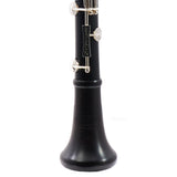 Backun Model BCLBPROTG-SK 'Protege' Intermediate Bb Clarinet