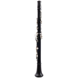 Backun Model BCLBPROTG-SK 'Protege' Intermediate Bb Clarinet