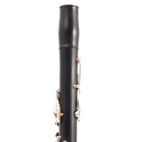 Backun Model BCLBPROTG-SKE Bb Clarinet in Grenadilla SN PZ10106 OPEN BOX