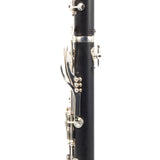 Backun Model BCLBPROTG-SKE Bb Clarinet in Grenadilla SN PZ10106 OPEN BOX