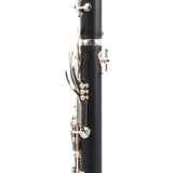 Backun Model BCLBPROTG-SKE Bb Clarinet in Grenadilla SN PZ10106 OPEN BOX