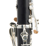 Backun Model BCLBPROTG-SKE Bb Clarinet in Grenadilla SN PZ1021 OPEN BOX