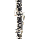 Backun Model BCLBPROTG-SKE Bb Clarinet in Grenadilla SN PZ1021 OPEN BOX