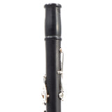 Backun Model BCLBPROTG-SKE Bb Clarinet in Grenadilla SN PZ1021 OPEN BOX