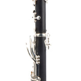 Backun Model BCLBPROTG-SKE Bb Clarinet in Grenadilla SN PZ1021 OPEN BOX