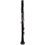 Backun Model BCLBPROTG-SKE 'Protege' Intermediate Bb Clarinet SN PZ10069 EXCELLENT
