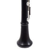 Backun Model BCLBPROTG-SKE 'Protege' Intermediate Bb Clarinet SN PZ10069 EXCELLENT