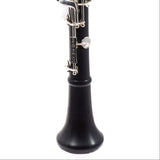 Backun Model BCLBPROTG-SKE 'Protege' Intermediate Bb Clarinet SN PZ10069 EXCELLENT