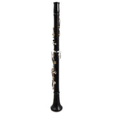Backun Model BCLBPROTG-SKG 'Protege' Bb Clarinet SN PR4646 OPEN BOX