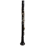 Backun Model BCLBPROTG-SKG 'Protege' Bb Clarinet SN PR4646 OPEN BOX