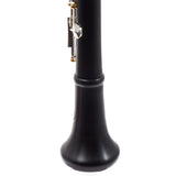 Backun Model BCLBPROTG-SKG 'Protege' Intermediate Bb Clarinet SN PR4643 EXCELLENT