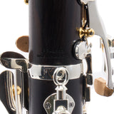 Backun Model BCLBPROTG-SKG 'Protege' Intermediate Bb Clarinet SN PR4643 EXCELLENT