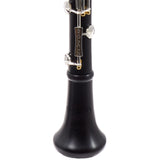 Backun Model BCLBPROTG-SKG 'Protege' Intermediate Bb Clarinet SN PR4643 EXCELLENT