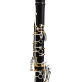 Backun Model BCLBPROTG-SKGE Bb Clarinet in Grenadilla SN PR4608 OPEN BOX